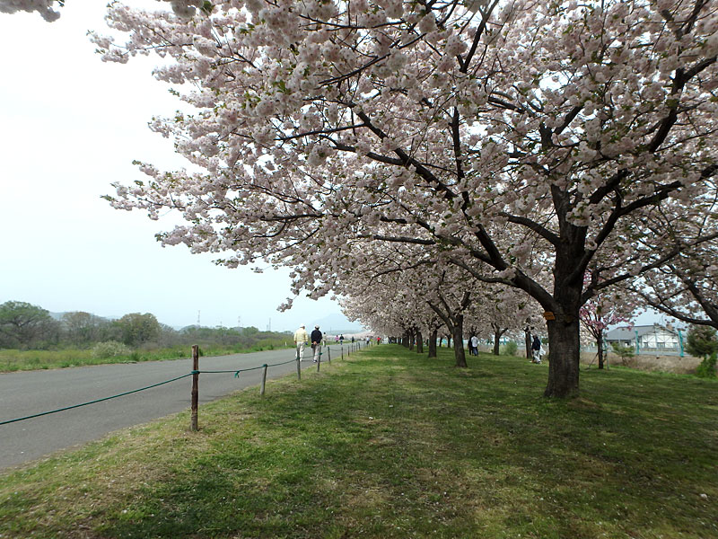 小布施町 千曲川河川公園 リバーサイドパーク ー信州の旅 Comー