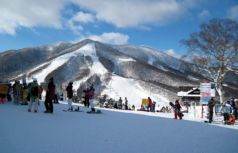 斑尾 高原 スキー 場